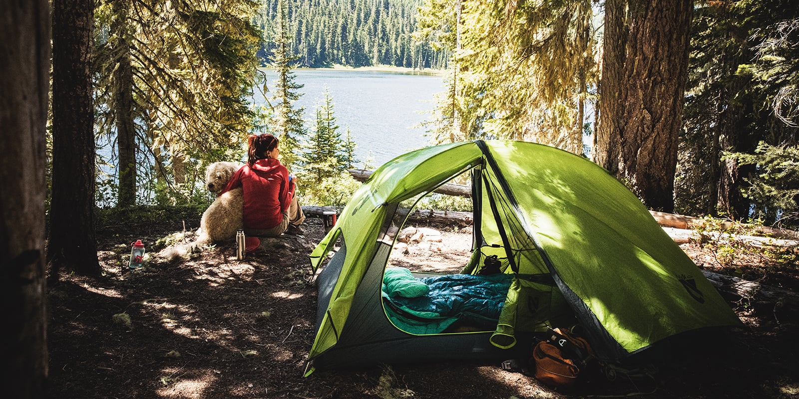 Camping перевод. Палатка Camp go. Палатки для кемпинга. Палатка в лесу. Одежда и палатка в лесу.