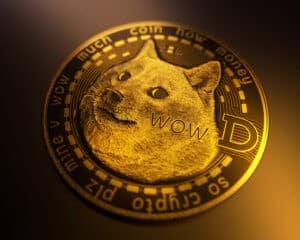 Elon Musk's D.O.G.E Appointment Sparks Dogecoin Price Spike