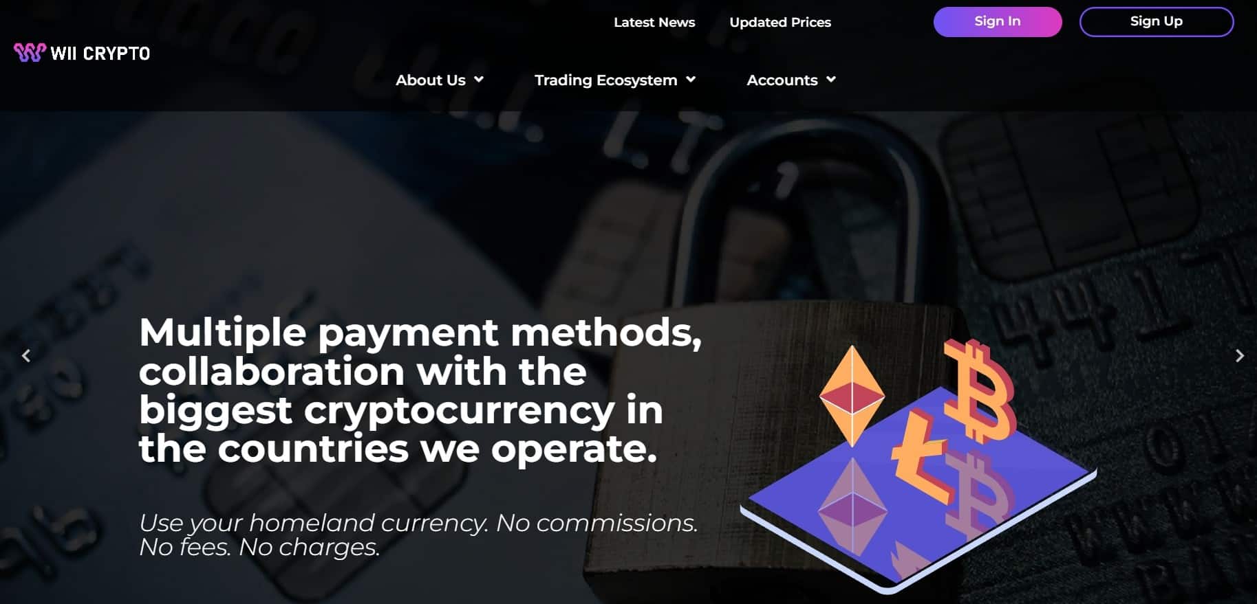 WiiCrypto homepage