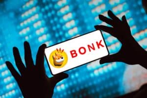 A Beginner's Guide to Understand Bonk - Solana's Dog-Themed Community Meme Coin