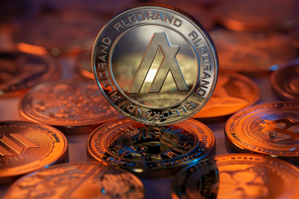 CapitalStone featured image